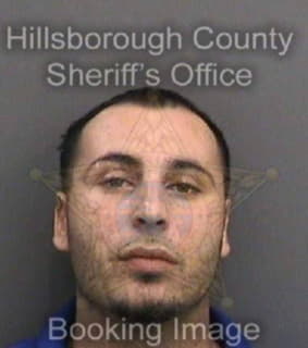 Rodriguez Matthew - Hillsborough County, Florida 