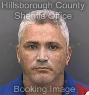 Alonsocastillo Yosvany - Hillsborough County, Florida 