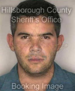 Romero Jose - Hillsborough County, Florida 