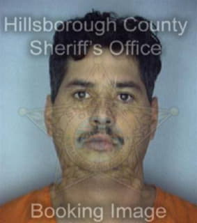 Dejesus Joshua - Hillsborough County, Florida 