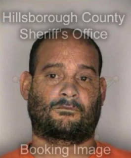 Albaladejo Ramon - Hillsborough County, Florida 