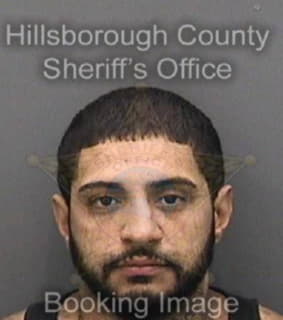 Perez Alceo - Hillsborough County, Florida 