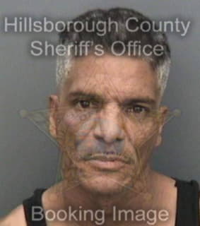 Rodriguez-Quinones Carlos - Hillsborough County, Florida 