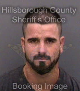 Diaz George - Hillsborough County, Florida 