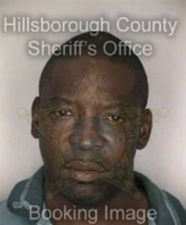 Williams John - Hillsborough County, Florida 