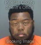 Johnson Joseph - Pinellas County, Florida 