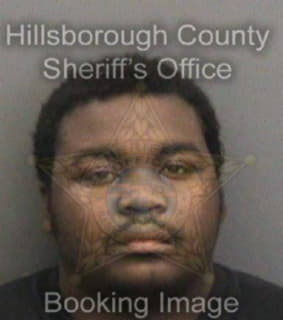 Daniels Leroy - Hillsborough County, Florida 