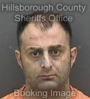 Moghaddam Mahdad - Hillsborough County, Florida 