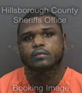 Mcelroy Vincent - Hillsborough County, Florida 