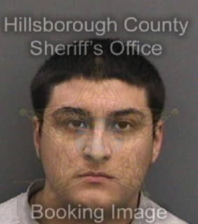 Alonso Alejandro - Hillsborough County, Florida 