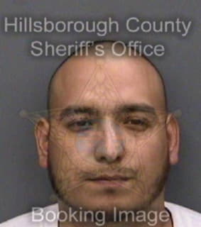 Delarosa Daniel - Hillsborough County, Florida 