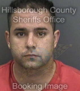 Rivero Denis - Hillsborough County, Florida 