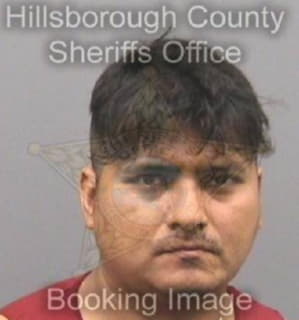 Arellano Luis - Hillsborough County, Florida 