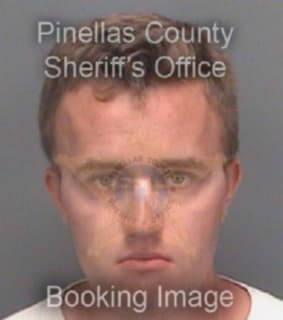 Mockerman Michael - Pinellas County, Florida 