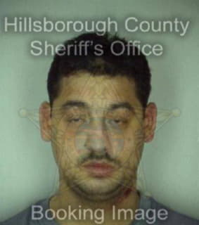 Rivera Moises - Hillsborough County, Florida 