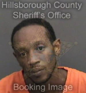 Bradley Robert - Hillsborough County, Florida 