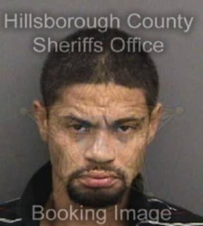 Lopez Roberto - Hillsborough County, Florida 