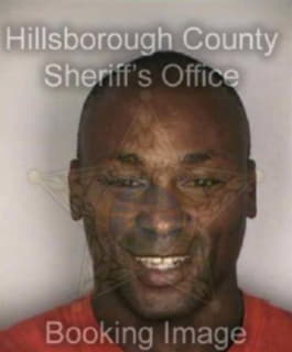 Williams Anthony - Hillsborough County, Florida 