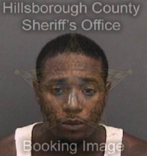 Coleman Deandre - Hillsborough County, Florida 