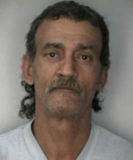 Tineo Isidro - Hillsborough County, Florida 