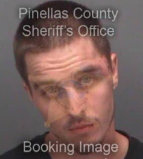 Watkins Joshua - Pinellas County, Florida 