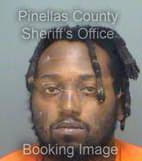 Roseman Rashad - Pinellas County, Florida 