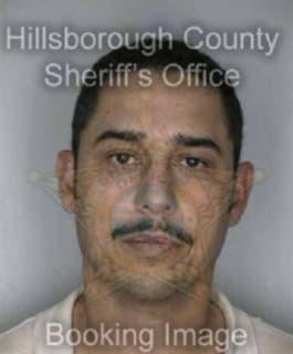 Hernandez Ricardo - Hillsborough County, Florida 