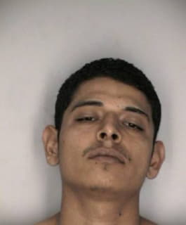 Mendez Antonio - Hillsborough County, Florida 