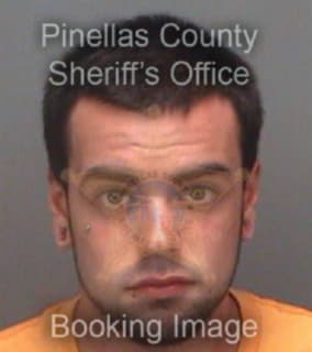 Gonzalezwillis Christopher - Pinellas County, Florida 