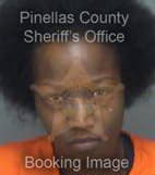 Haynes Chrystal - Pinellas County, Florida 