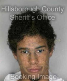 Rodriguez Ernesto - Hillsborough County, Florida 