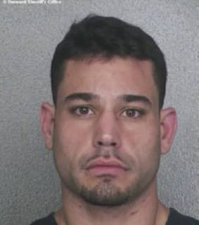 Hernandez Christopher - Broward County, Florida 