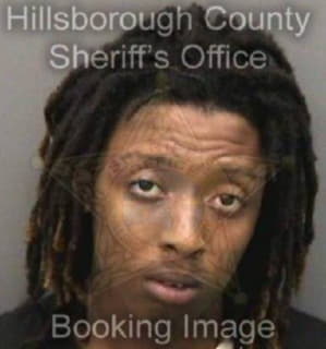 Williams Dontavious - Hillsborough County, Florida 