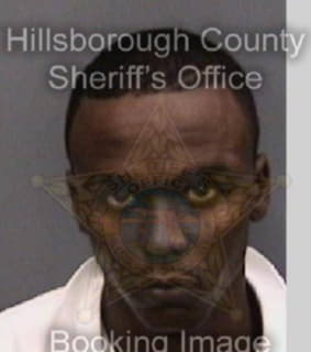 Ahmed Saddah - Hillsborough County, Florida 