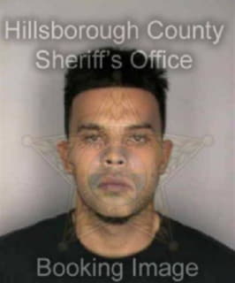 Martinez Andrew - Hillsborough County, Florida 