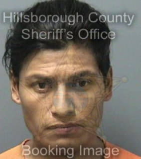 Medina Israel - Hillsborough County, Florida 