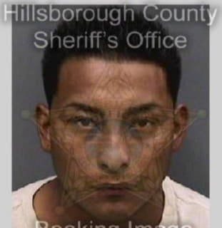 Ruiz Julio - Hillsborough County, Florida 