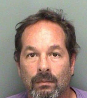 Ringelspaugh Anthony - Pinellas County, Florida 