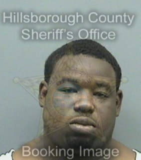 Bowser Dajuan - Hillsborough County, Florida 