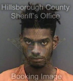 Wilcox Dandre - Hillsborough County, Florida 