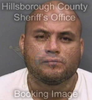 Rodriguez Jose - Hillsborough County, Florida 