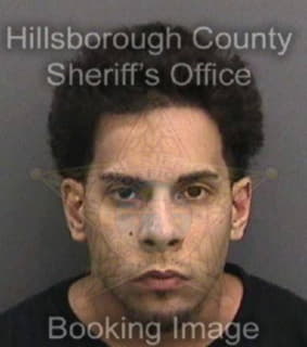 Mendez Eduardo - Hillsborough County, Florida 