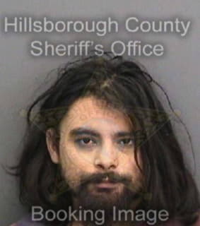 Rodriguez Daniel - Hillsborough County, Florida 