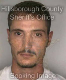 Chesbrough David - Hillsborough County, Florida 