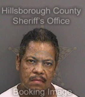 Rodriguez Ismael - Hillsborough County, Florida 