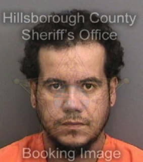 Ruiz Rafael - Hillsborough County, Florida 