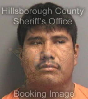 Perez Reymundo - Hillsborough County, Florida 