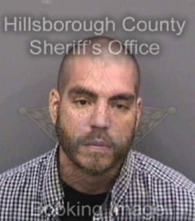 Webb Troy - Hillsborough County, Florida 