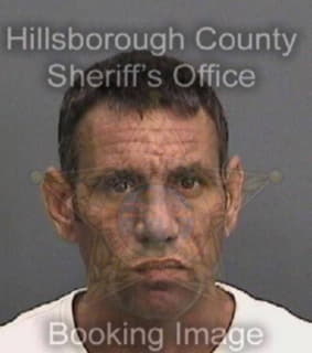 Perezparra Amaury - Hillsborough County, Florida 