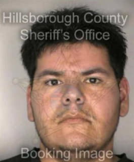 Pena Genaro - Hillsborough County, Florida 